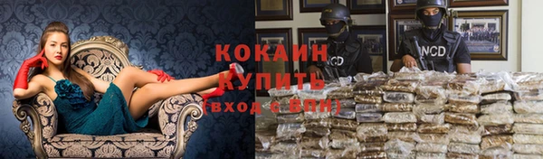 молекула духа Бугульма