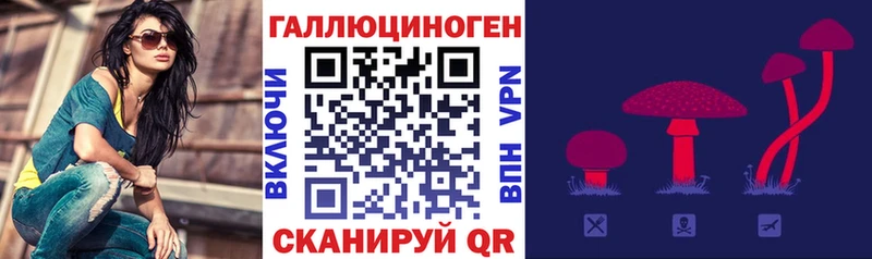 Галлюциногенные грибы Psilocybe  Ковылкино 